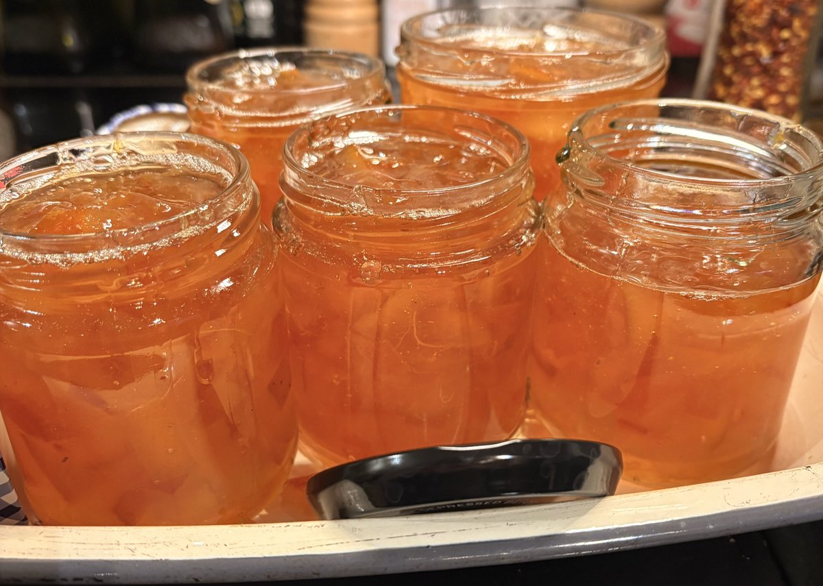 Annunziata Rees-Mogg tweet media