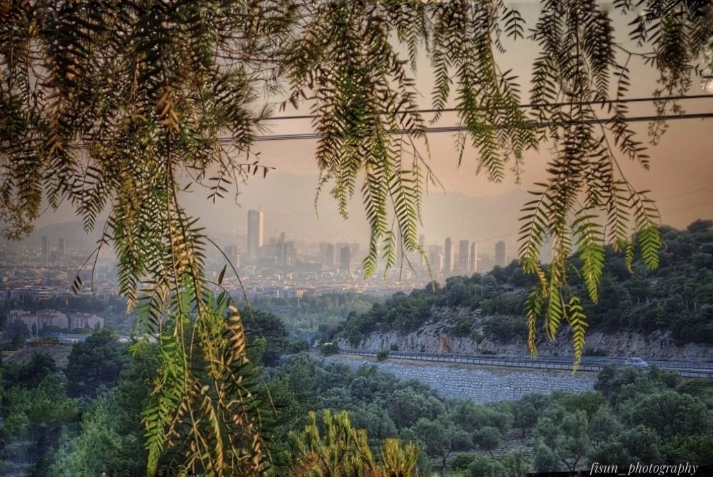 fisunphotograp1's tweet image. #photo
#foto
#landscapephotography

  📍İzmir