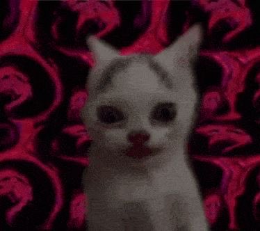 drowsyautopsy tweet media