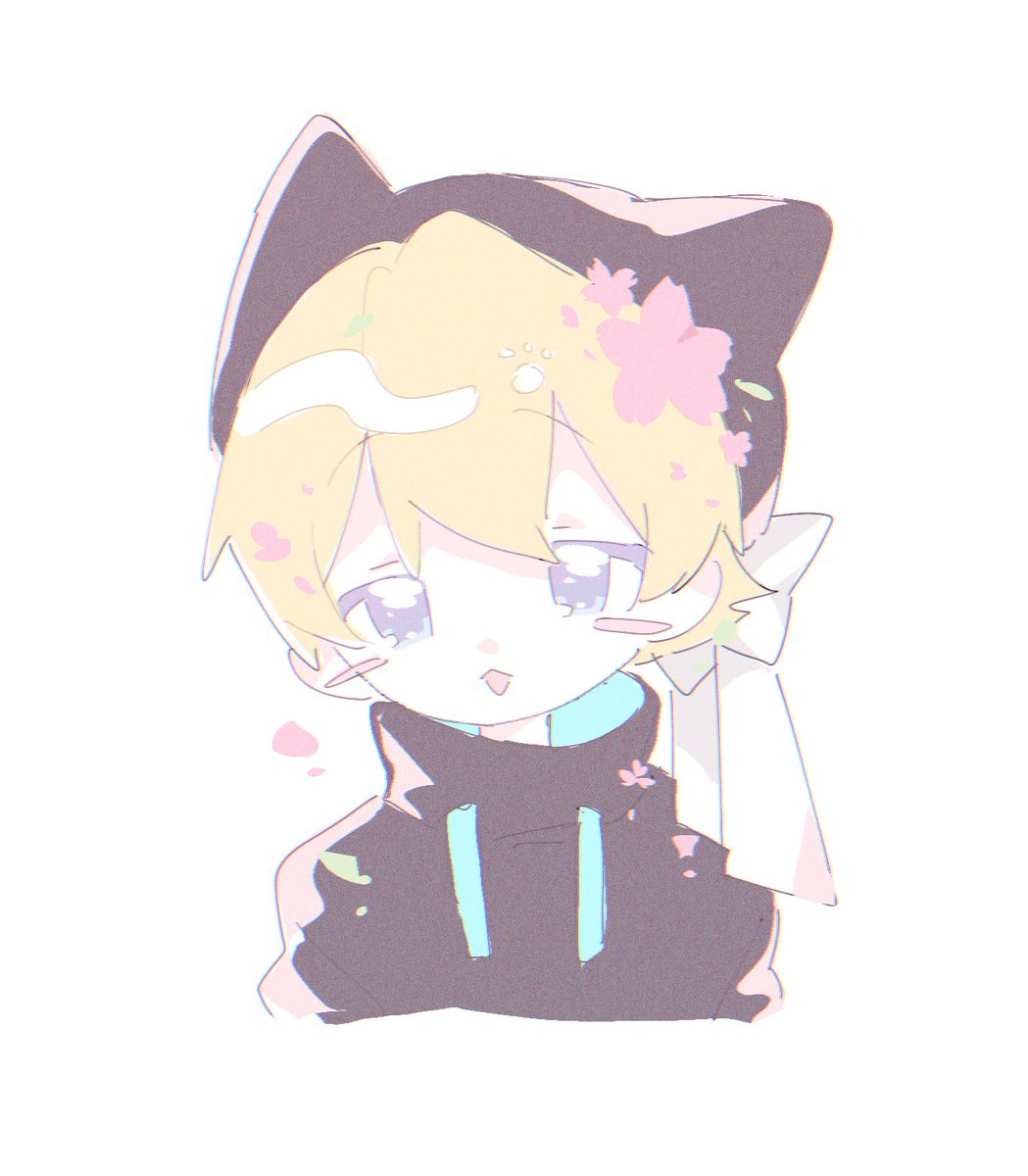 みみ汰 tweet media