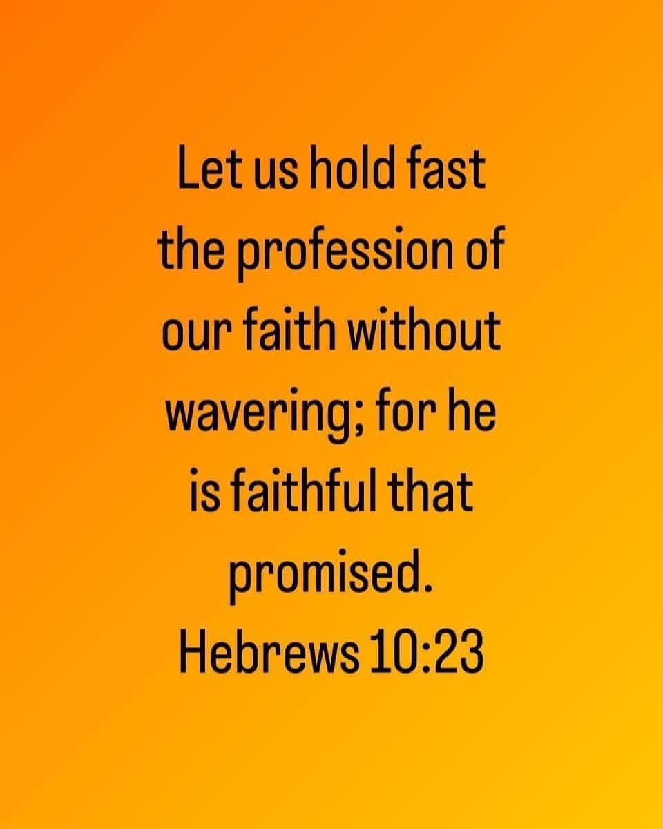 Loraine Phyllis Powell tweet media