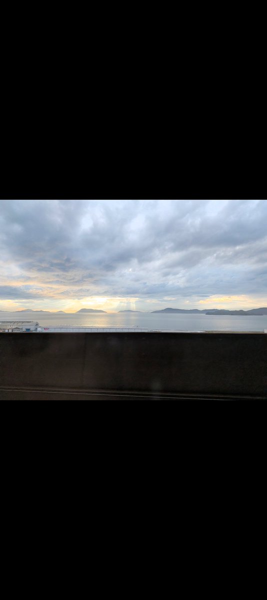 ムンおじ tweet media