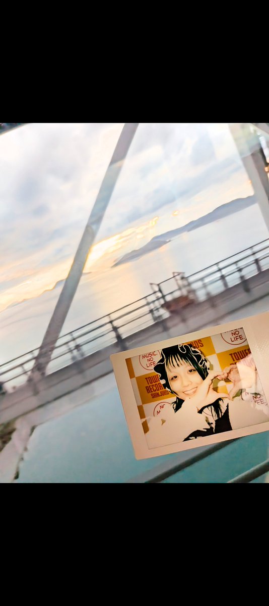 ムンおじ tweet media