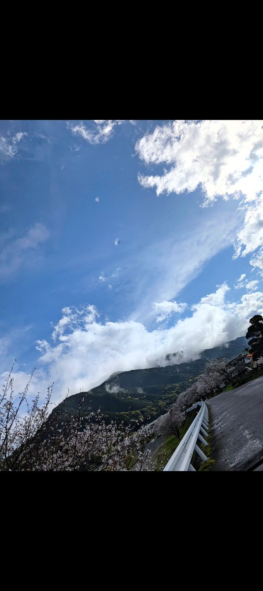 ムンおじ tweet media