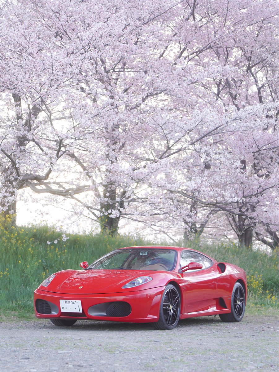 R35RuiGTR's tweet photo. #これを見た人は愛車の背景が桜の画像を貼れ
別角度 https://t.co/4D4SF1uAhz