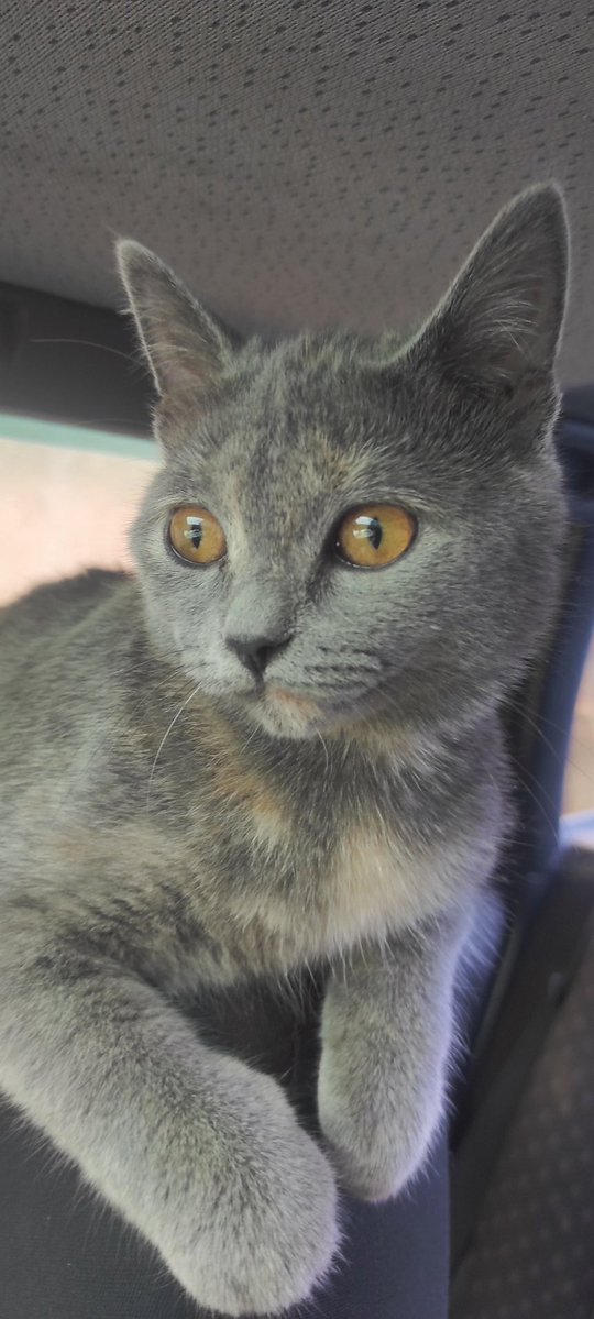 Андрій Буган tweet media