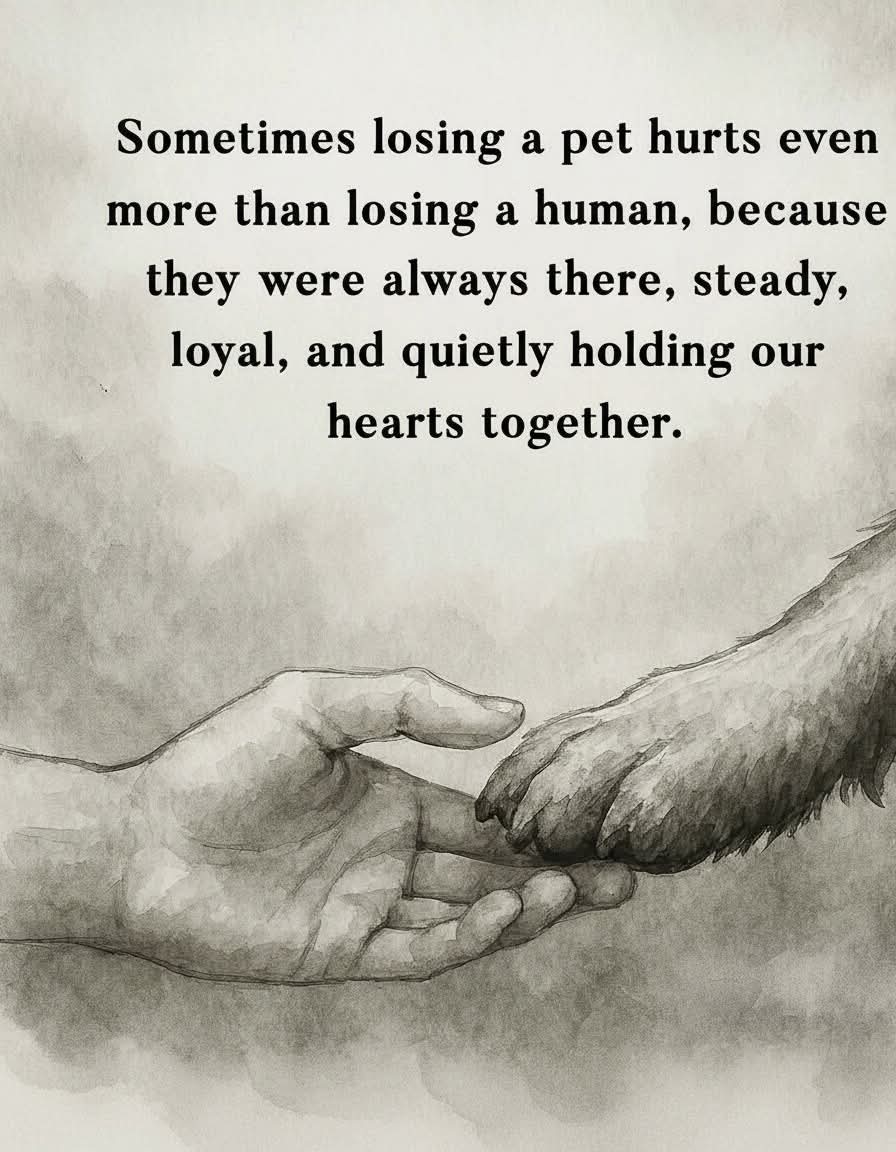 🐬░O░p░h░i░n░🐬 tweet media