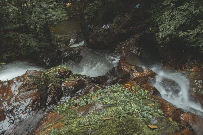 Dosen Kesayanganmu tweet media