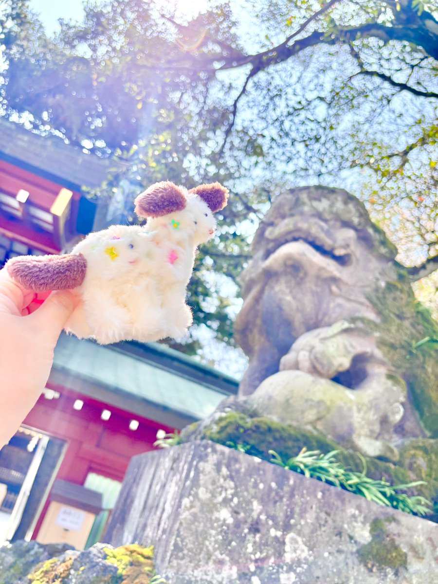 hammy&dacco【4/1〜4/30ニュースタア大阪】 tweet media