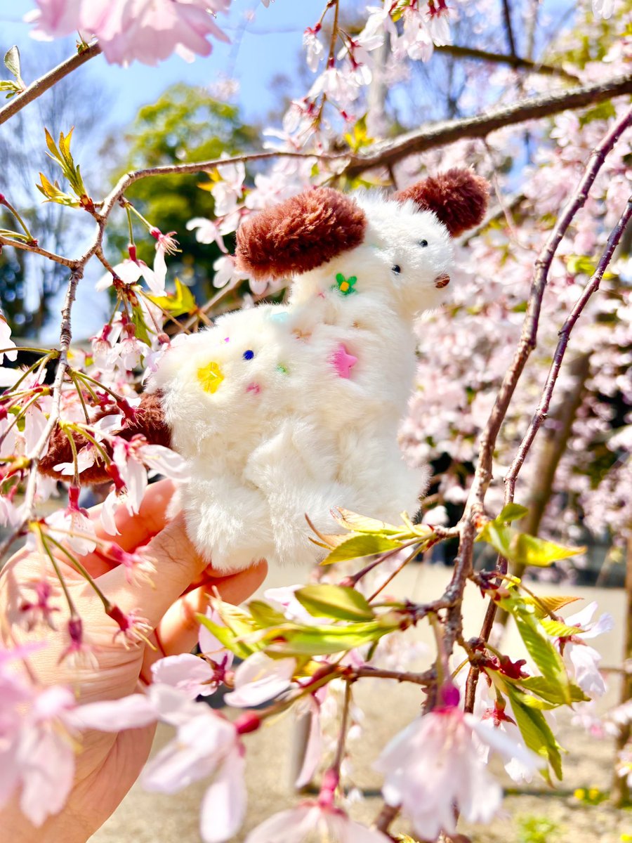 hammy&dacco【4/1〜4/30ニュースタア大阪】 tweet media