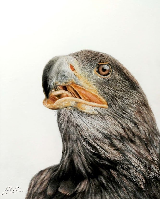 アメ。 tweet media