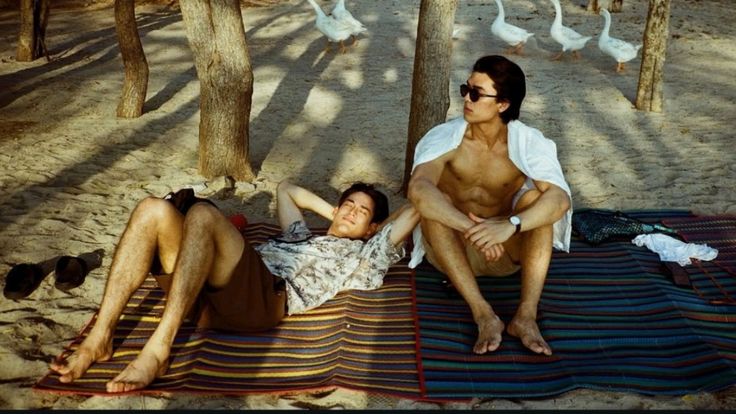 littlebutterfly tweet media