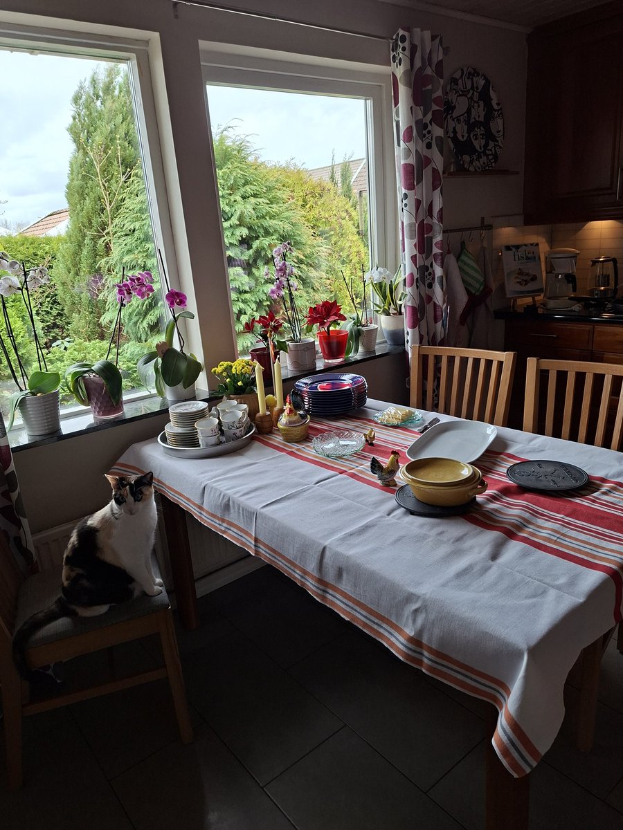 chasson77 tweet media