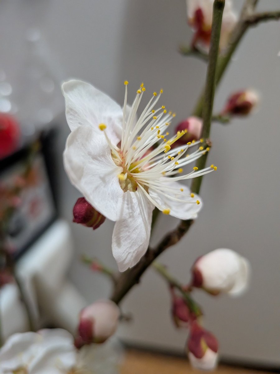 nyancorepon's tweet image. 寒い間、指無し手袋をして寝ると手がポカポカしてよく眠れてクセになった。
　これは私だけ？
　今ごろ言うなよって
そうですよね。
　頭もポカっとしてました。
(^o^)写真の手は他人です。
#睡眠 #健康 #lifehacks