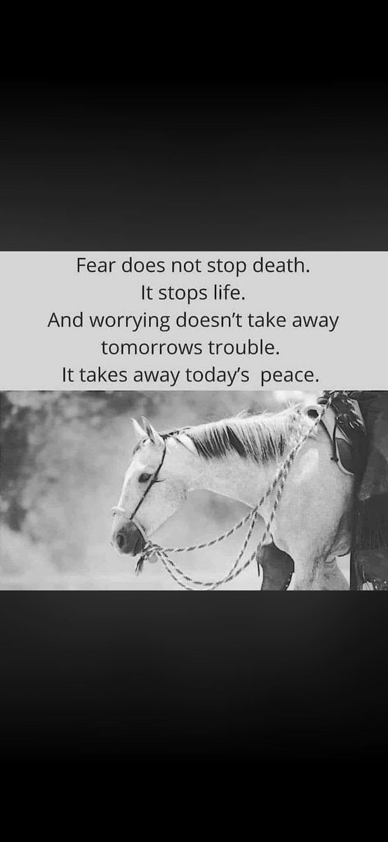 Hillbilly tweet media