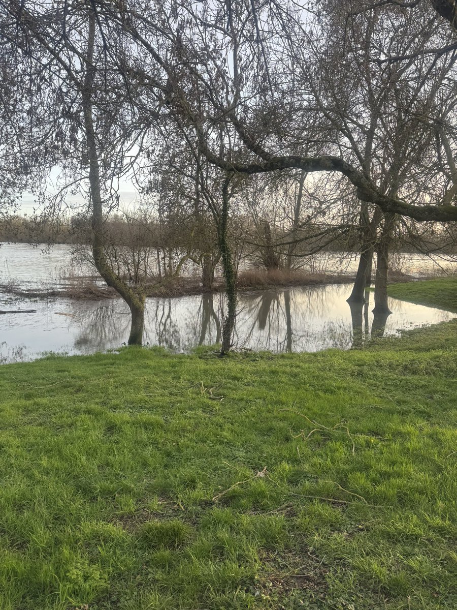 jorge pirès tweet media