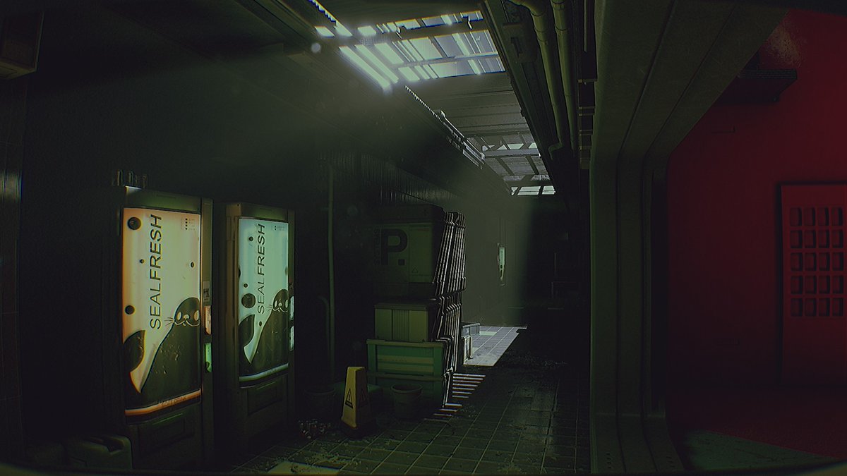 ktsf✨🪴 tweet media