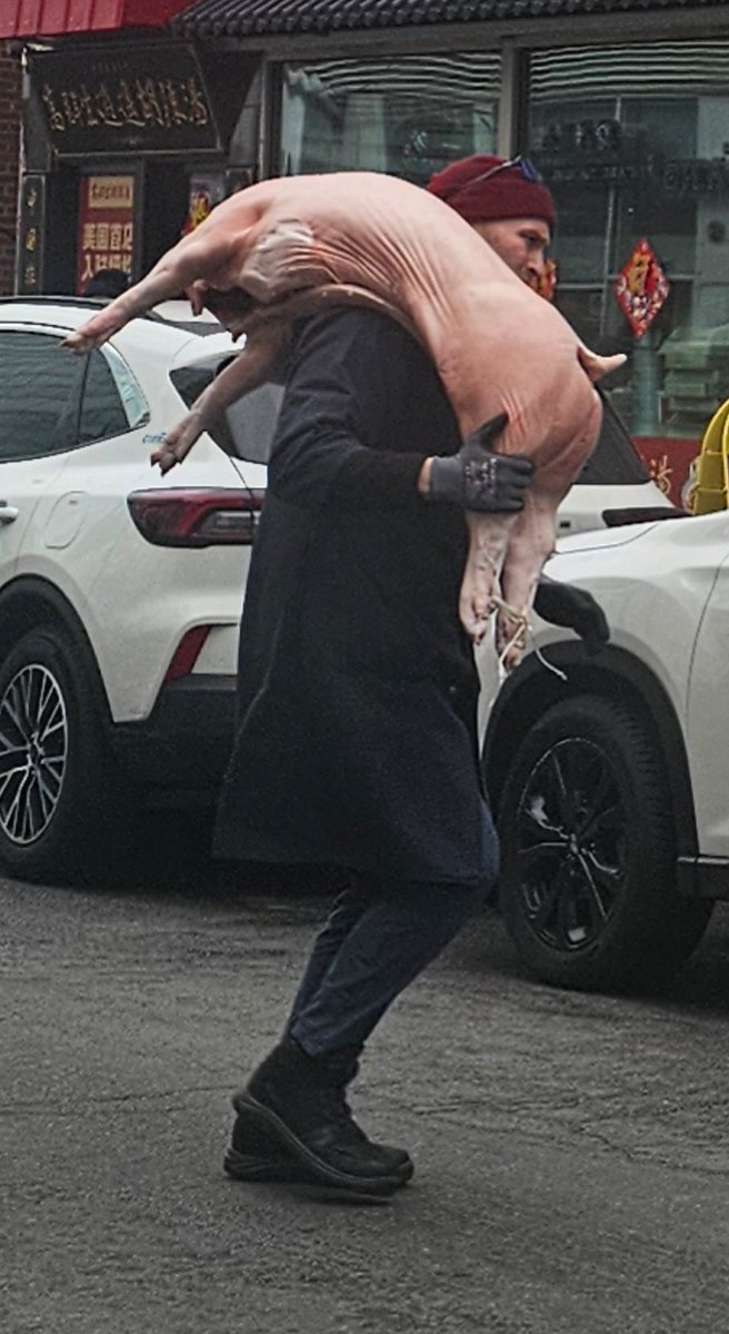 Krzysztof NY 💯🇵🇱 tweet media