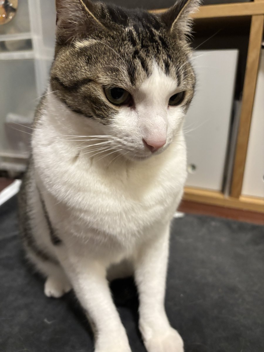 キムチ母‼️ tweet media