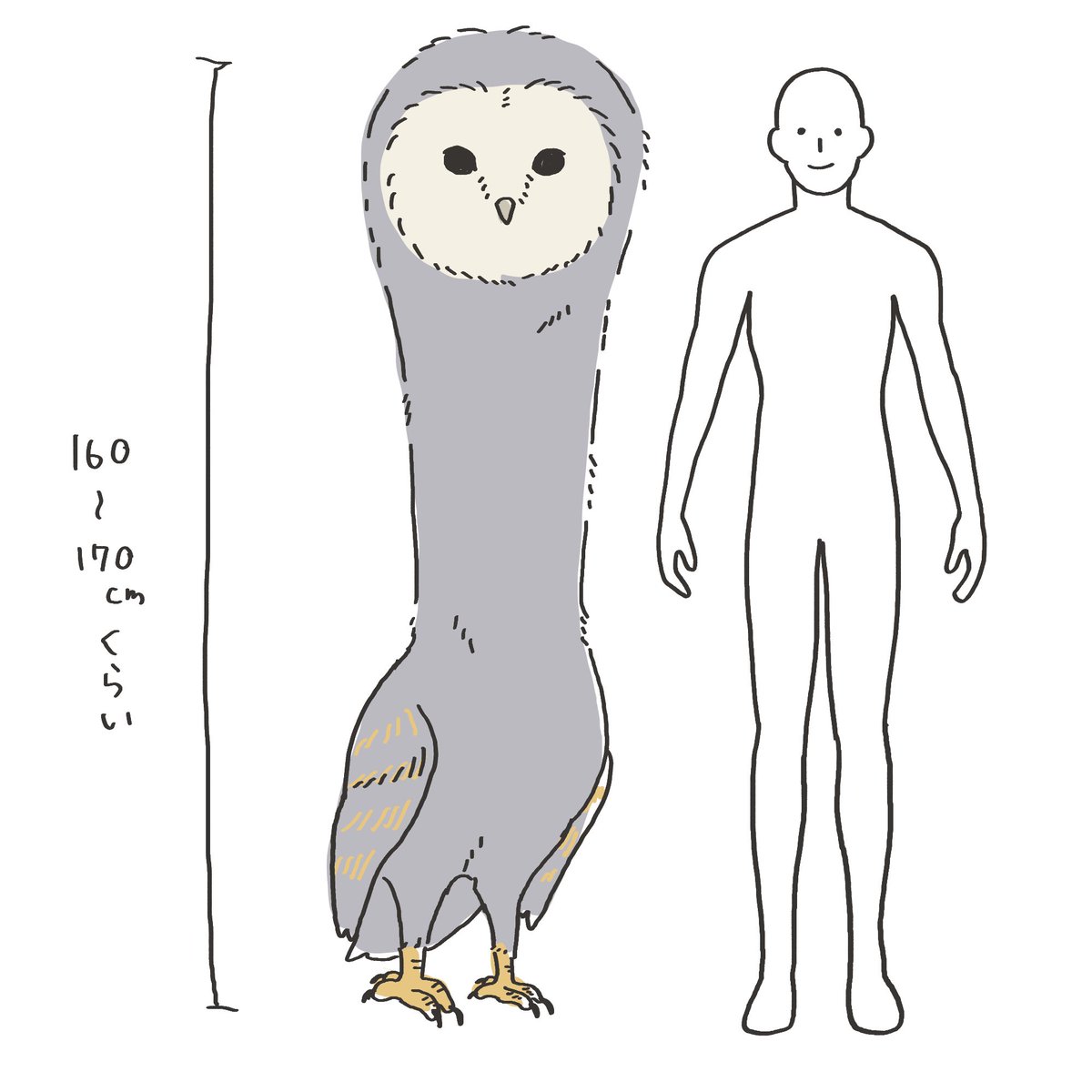 ノグチマリコ tweet media