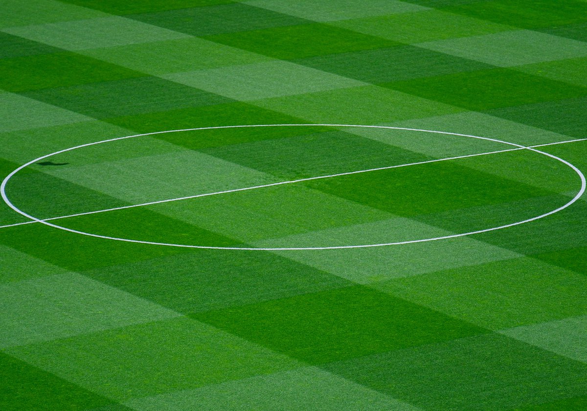 Papara Park tweet media