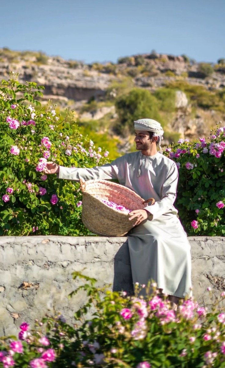 طارق tweet media