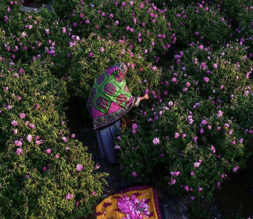 طارق tweet media