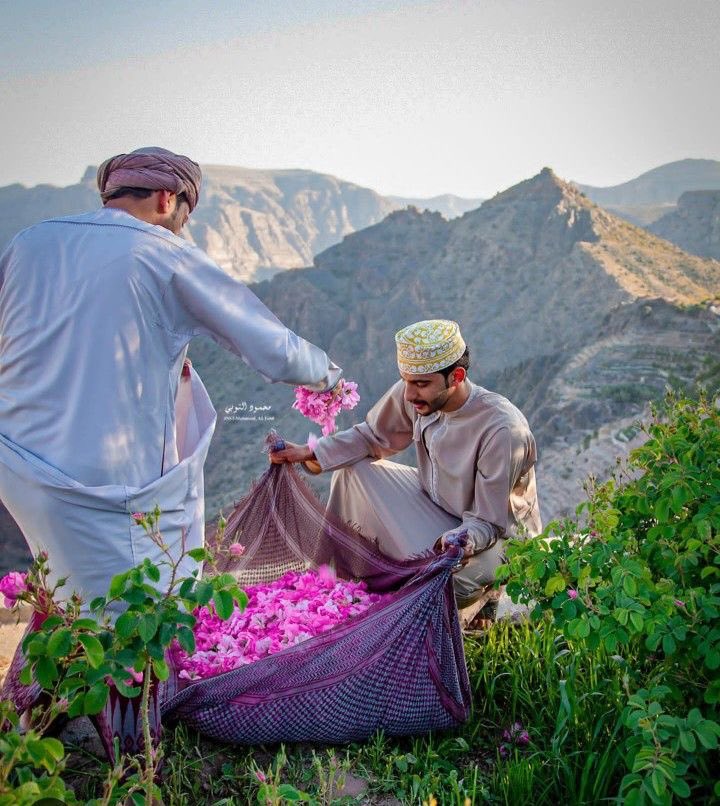 طارق tweet media