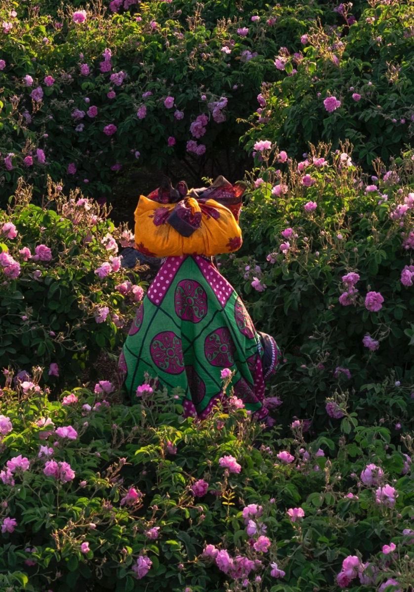 طارق tweet media