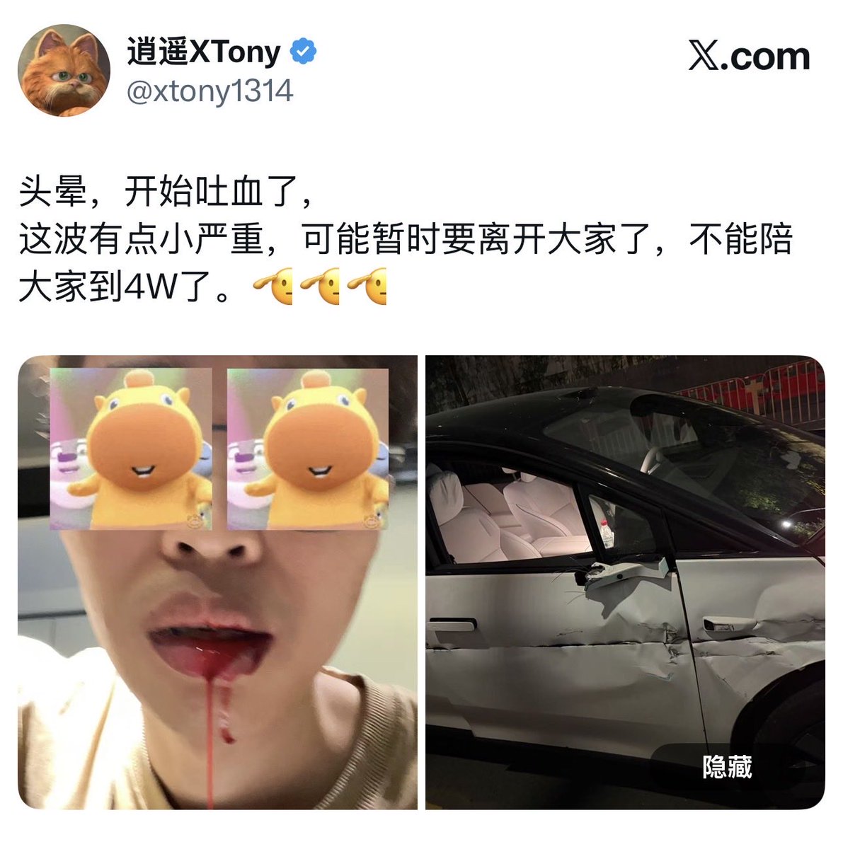 Will Yang tweet media