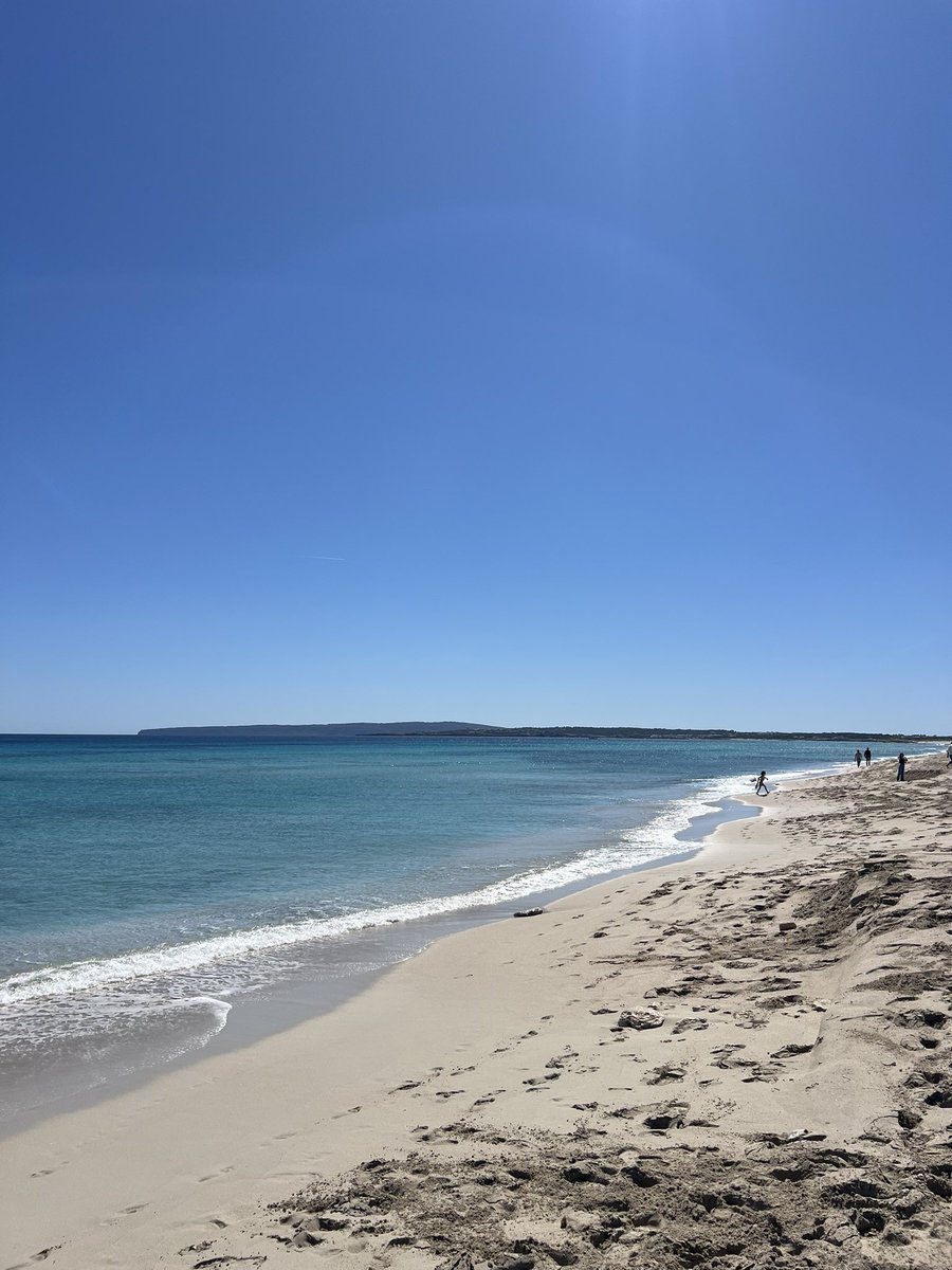 El Mono de Wall Street tweet media