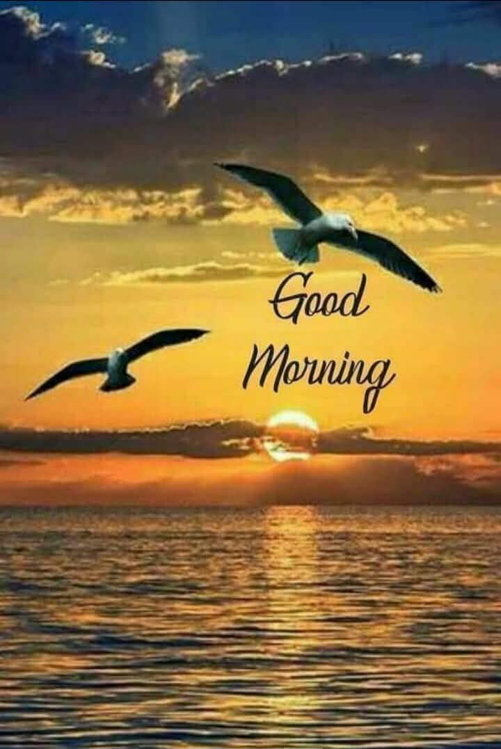 John Mcdonagh tweet media