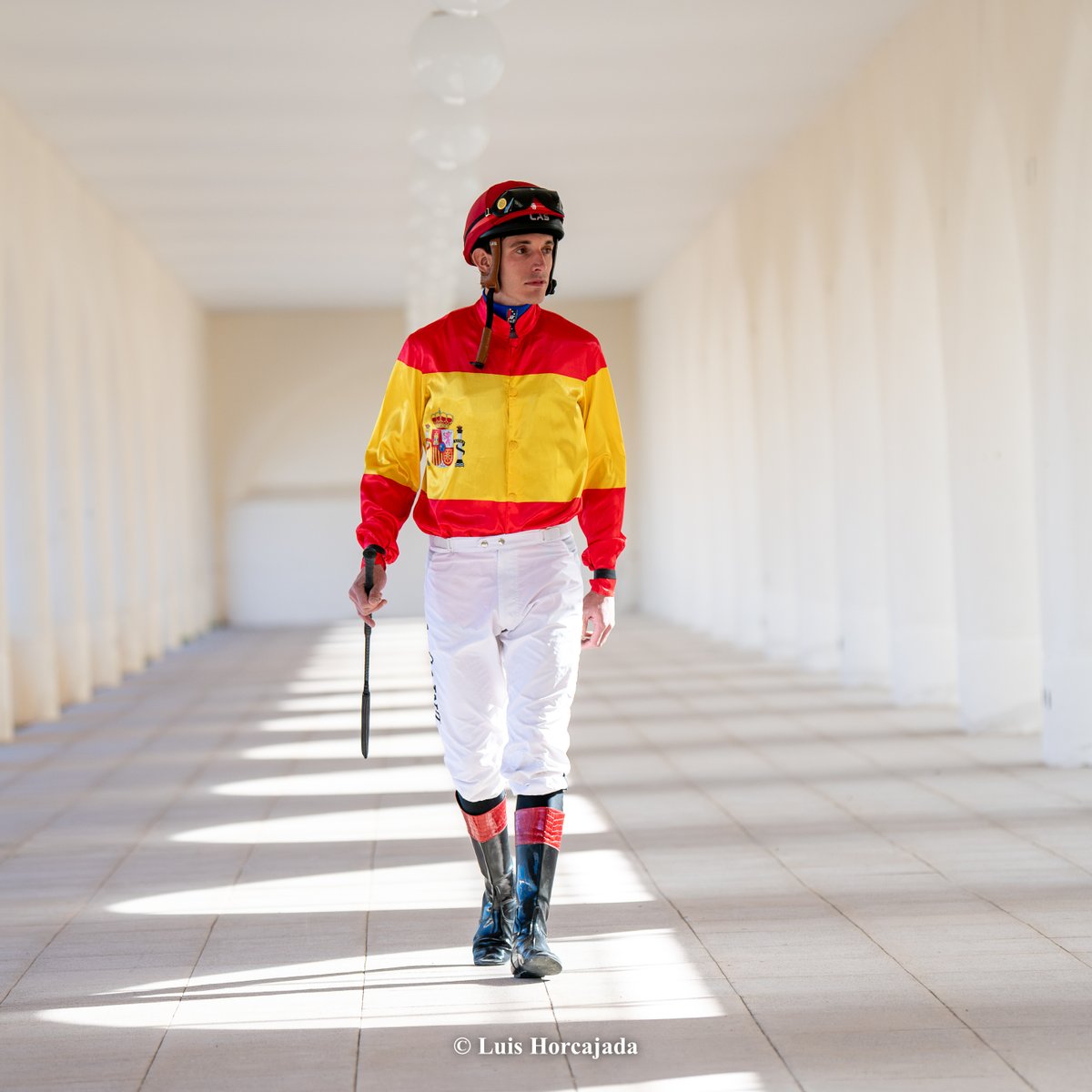 A.E.G.R.I. tweet media