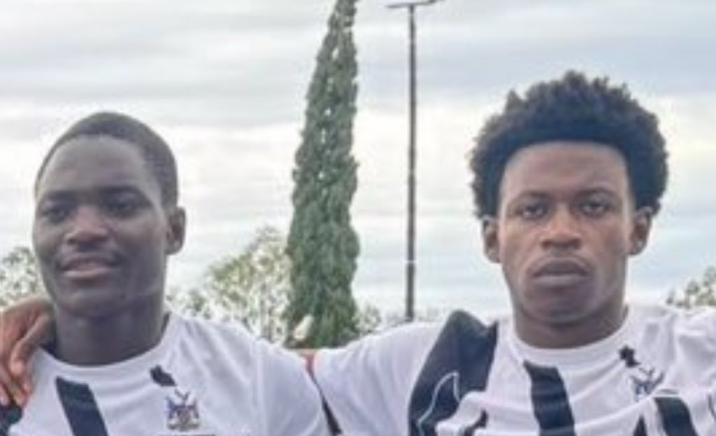 Sebo_International tweet media