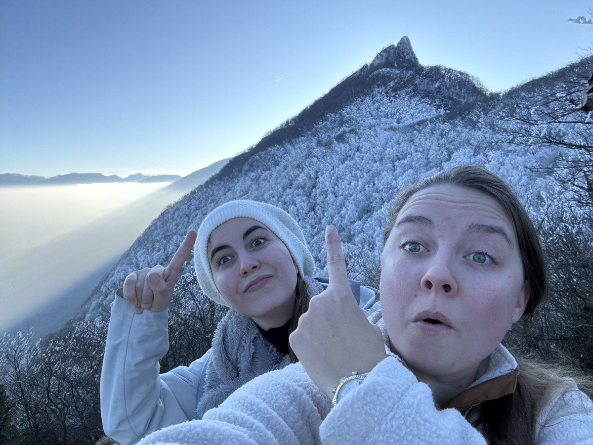 KC Kitty tweet media