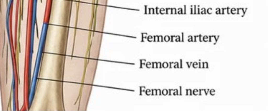 Liam McCoy, MD MSc tweet media