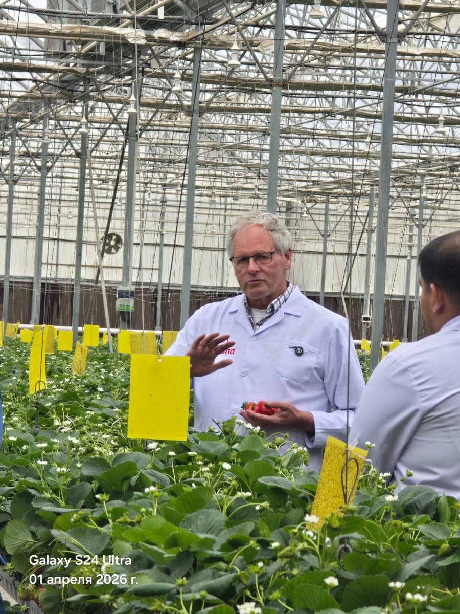 Op de terugweg uit Ashgabat waar ik het enige aardbeienbedrijf van Turkmenistan al 5 jaar mag adviseren