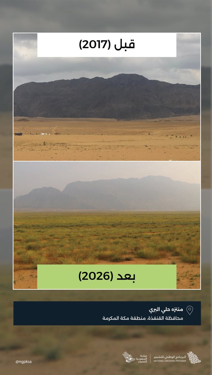 البرنامج الوطني للتشجير tweet media