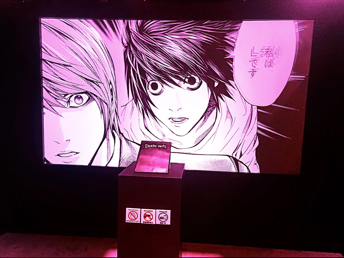 愛猫♥️ tweet media