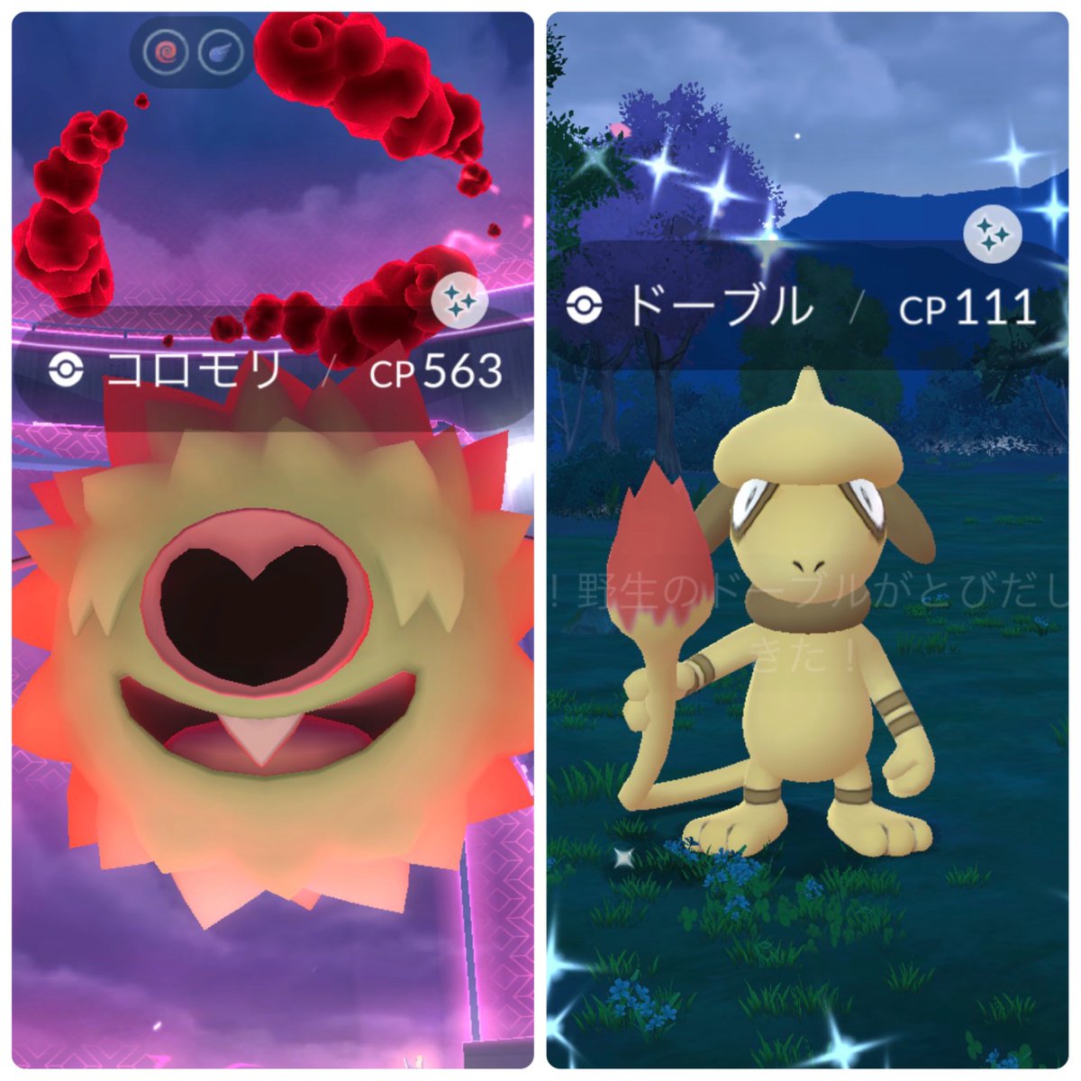 あっちゃま🐧 tweet media