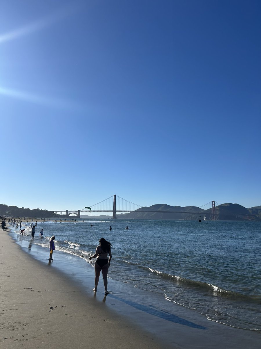 まーる！ tweet media