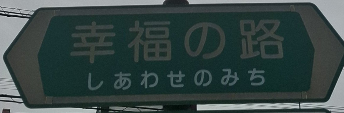 エル・モミーゴ🔥🔥🔥🔥 tweet media