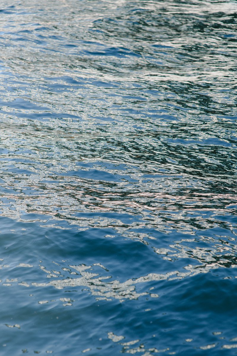 アキモト tweet media