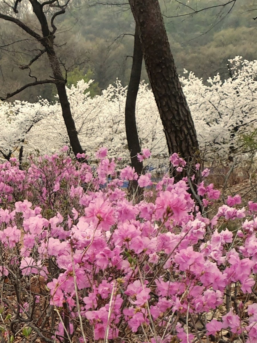 타인_☁️ tweet media