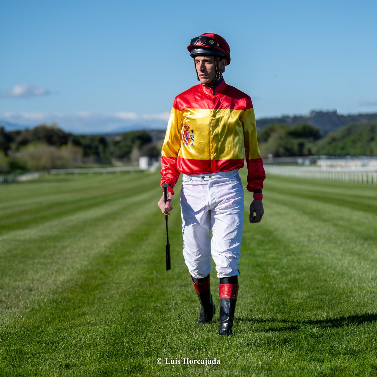 A.E.G.R.I. tweet media