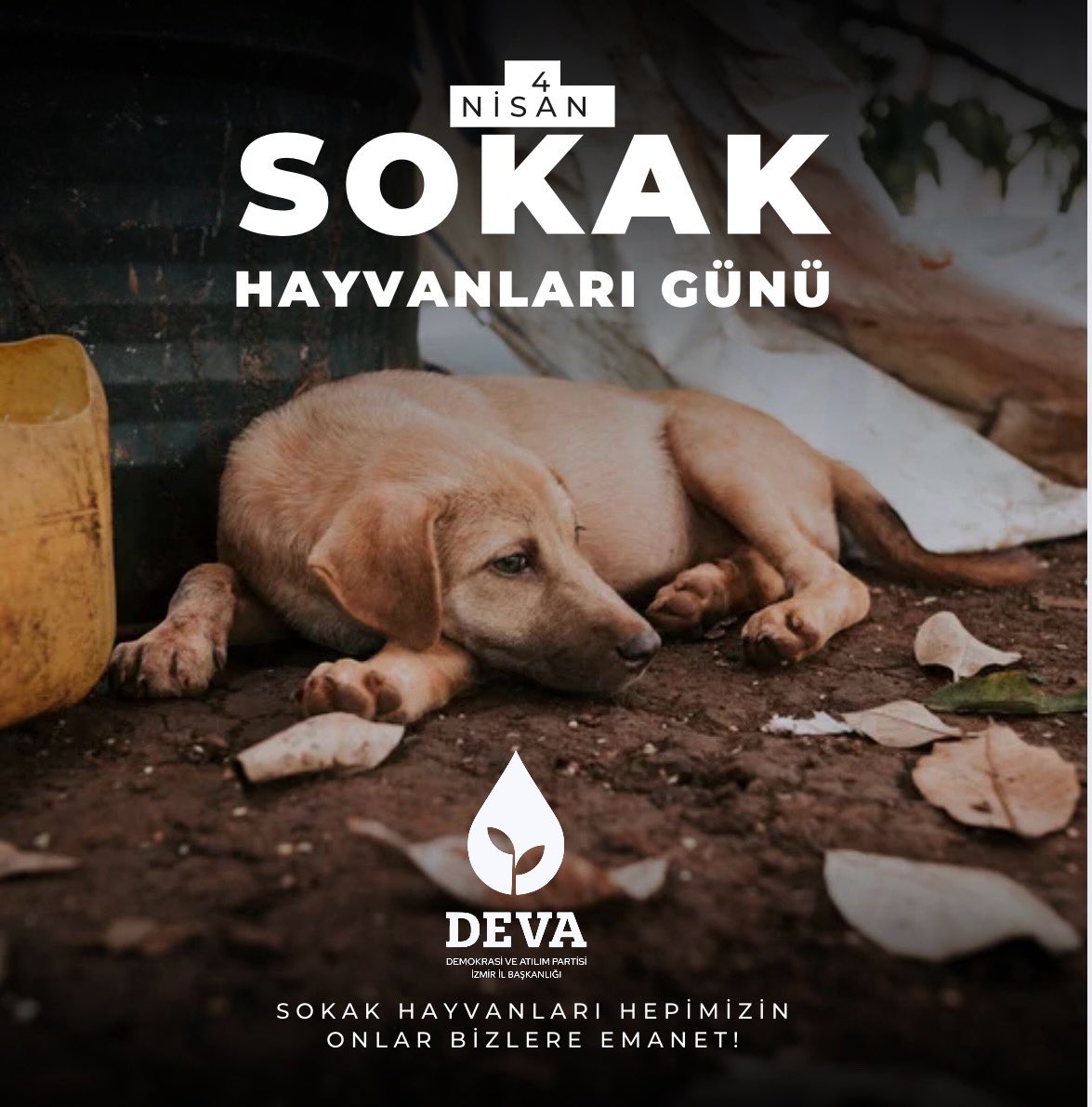 4 Nisan Dünya Sokak Hayvanları Günü, sadece onları anmak için değil, yaşam koşullarını iyileştirmek için de önemli bir gün.
Bir gün değil her gün can dostlarımızın yanındayız.
#4nisansokakhayvanlarıgünü