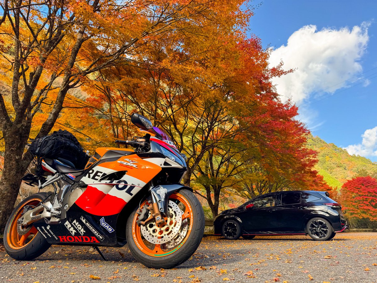 十円禿が出来たユウ tweet media