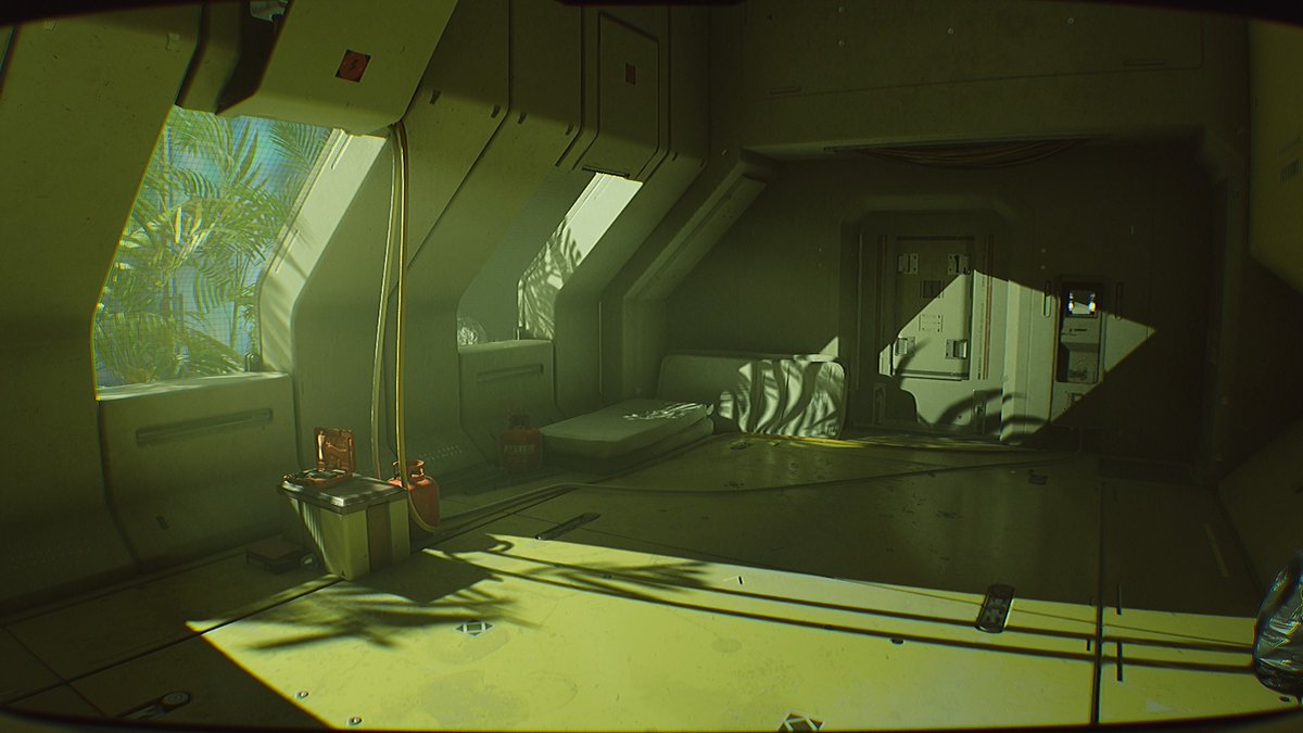 ktsf✨🪴 tweet media