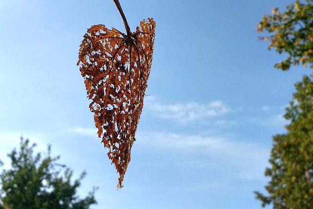 Melanie Marks tweet media