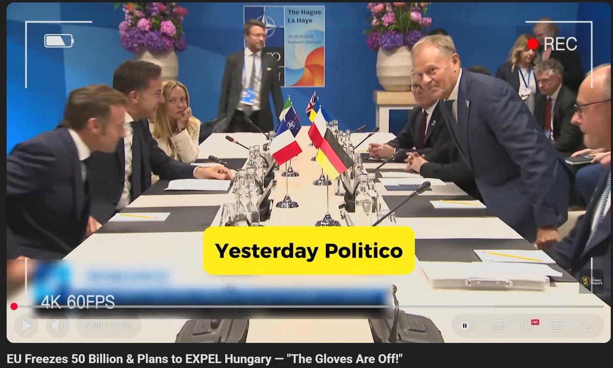 Tibor P. Tibor tweet media